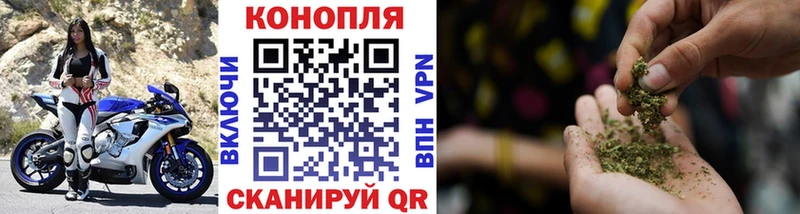 Как найти закладки Алагир Вейп ТГК  Меф мяу мяу  Кокаин  hydra ссылка  Гашиш  Конопля  Альфа ПВП 