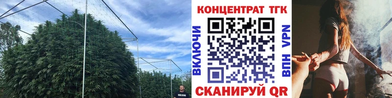 Дистиллят ТГК гашишное масло  как найти наркотики  Алагир 
