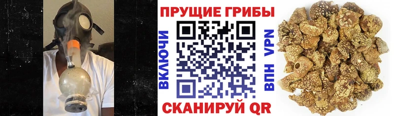 Галлюциногенные грибы Magic Shrooms  Алагир 