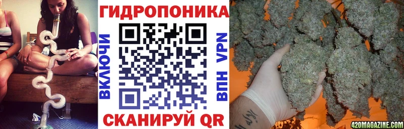 Бошки Шишки MAZAR  Алагир 